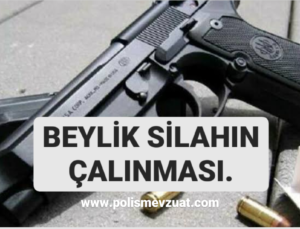 Beylik silahın çalınmasına verilen cezayı danıştay bozdu.