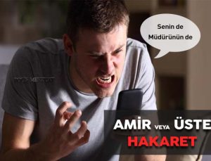 Amir veya üste hakaret etmek ‘ten polis memuruna verilen cezanın iptali. Bölge idare mahkemesi kararı.