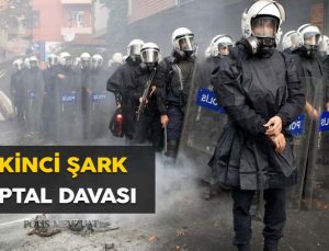 İkinci şark atamasının iptali ve ipka talebinin kabulü konusunda kazanılan davadır.